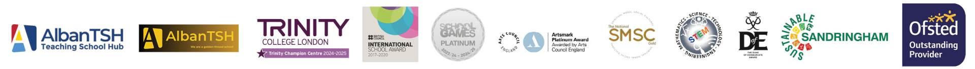 Logo Footer